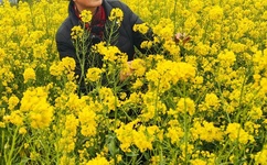 重生之花花公主